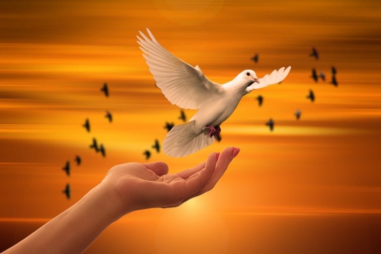 Many-winged Hope