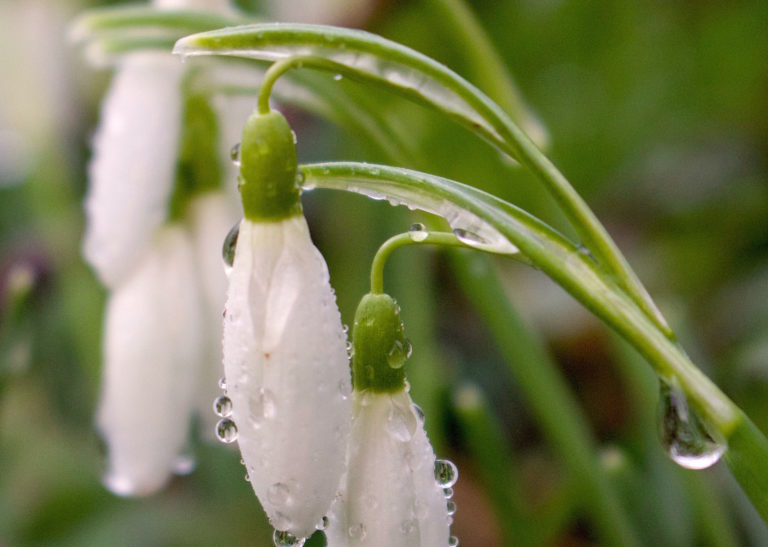 Stumbling Upon Spring