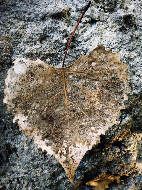 Wholeness Birthed From a Broken Heart