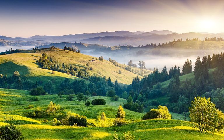 One Overlooked Way to Improve Your Desire for Creation Care